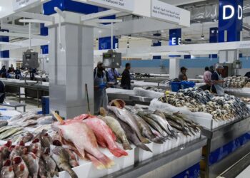 DUBAIwebzine दुबई का समुद्री भोजन दृश्य स्थायी मछली बाजार