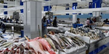 DUBAIwebzine 迪拜海鲜景象 可持续鱼市