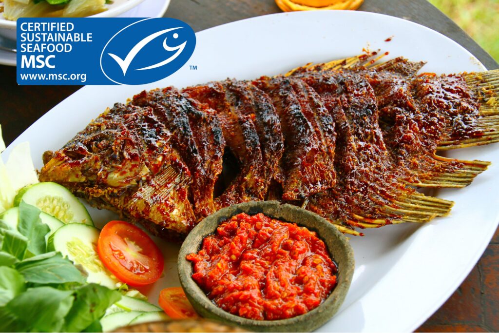 DUBAIwebzine दुबई का समुद्री भोजन परिदृश्य टिकाऊ मछली रेस्तरां