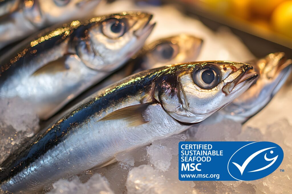 DUBAIwebzine दुबई का समुद्री भोजन परिदृश्य 2025 में टिकाऊ और ताज़ी पकड़ 1