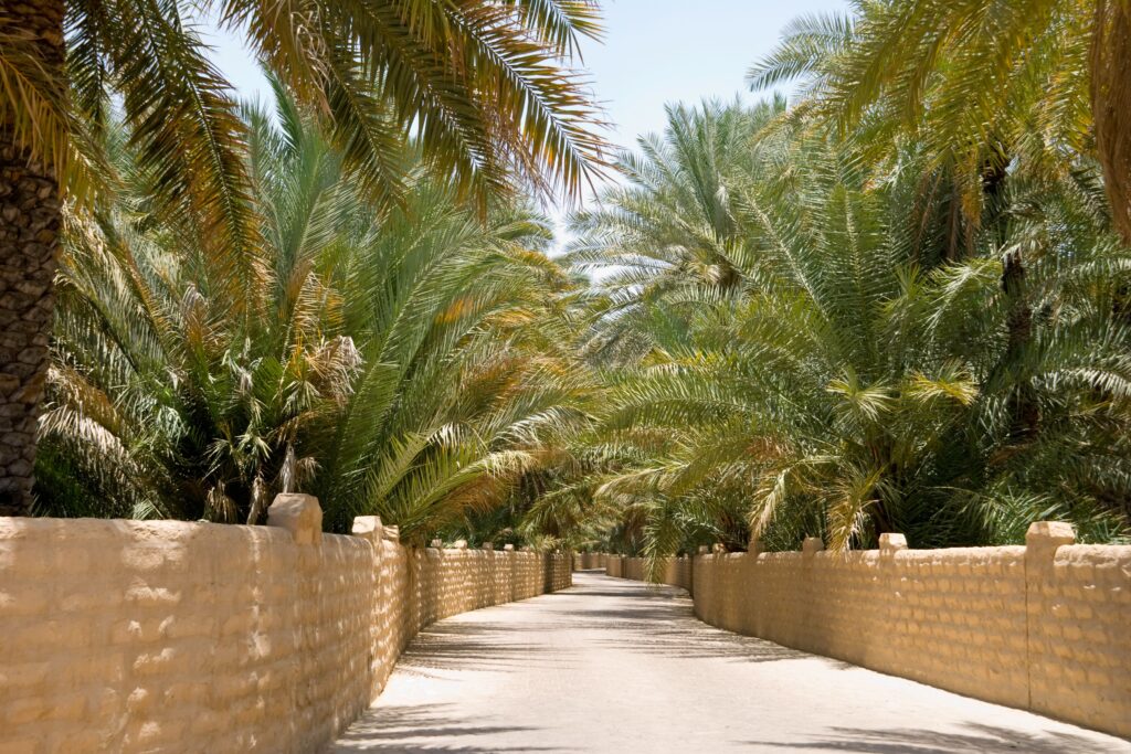 DUBAIwebzine अल ऐन नखलिस्तान गार्डन सिटी विरासत अनुभव की यात्रा करता है