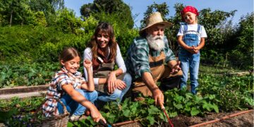 迪拜秋季园艺，城市花园里新鲜蔬菜和植物茁壮成长