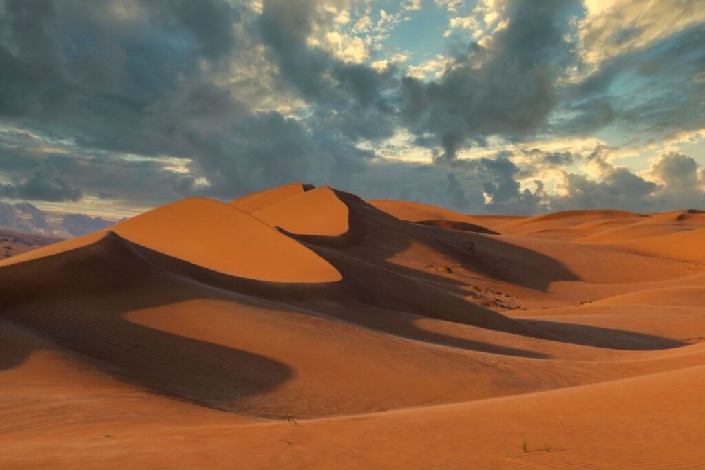 वहाइबा सैंड्स ओमान डेजर्ट रोड ट्रिप एडवेंचर ड्राइव वादी में सुनहरे रेत के टीले
