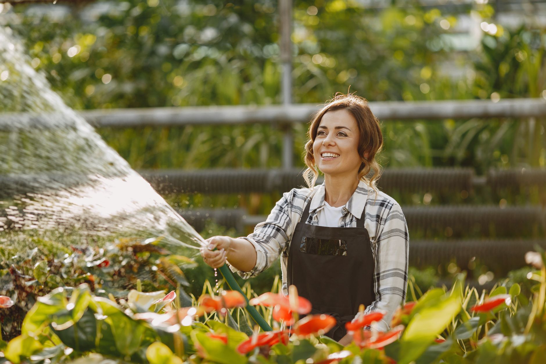 Une femme arrosant des plantes de jardin résistantes à la sécheresse tôt le matin pour réduire la consommation d'eau extérieure à Dubaï