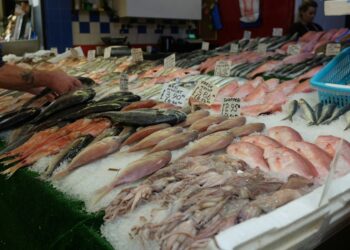 Shopper selecting hammour at a Dubai seafood market stall