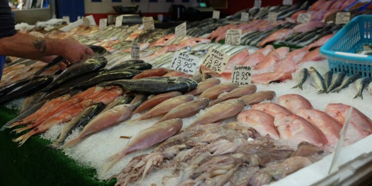 Seafood market prices in Dubai this autumn photo 1 - DUBAIwebzine Shopper selecting hammour at a Dubai seafood market stall
