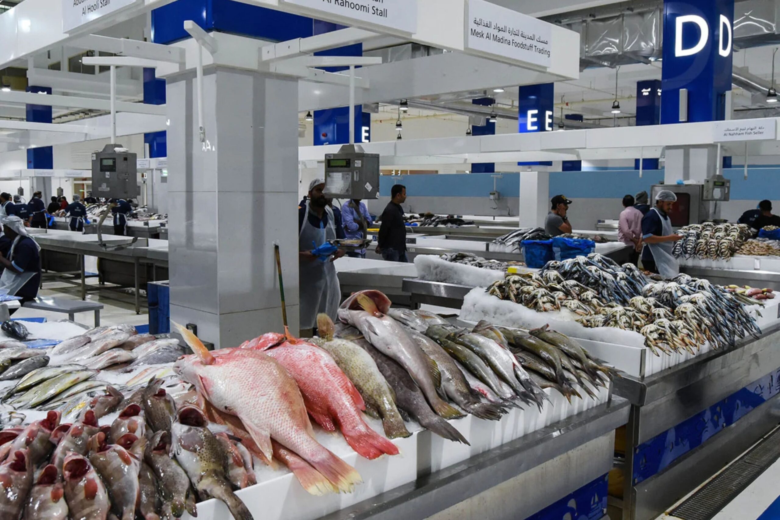DUBAIwebzine La scène des fruits de mer de Dubaï Marché aux poissons durable